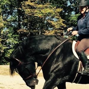 Meet your Posher, Dean